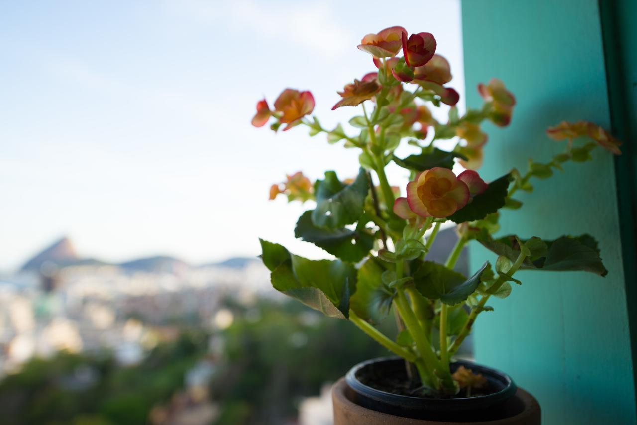 Casa Francisco Bed & Breakfast Rio de Janeiro Ngoại thất bức ảnh